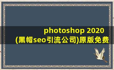photoshop 2020 (黑帽seo引流公司)原版免费下载